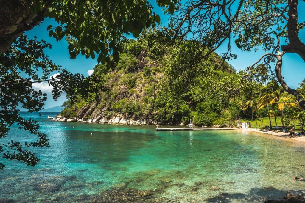 Caraibes Cottage Grenat Piscine Privee 900M De Grande Anse Deshaies Zewnętrze zdjęcie