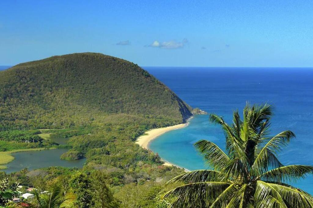Caraibes Cottage Grenat Piscine Privee 900M De Grande Anse Deshaies Zewnętrze zdjęcie