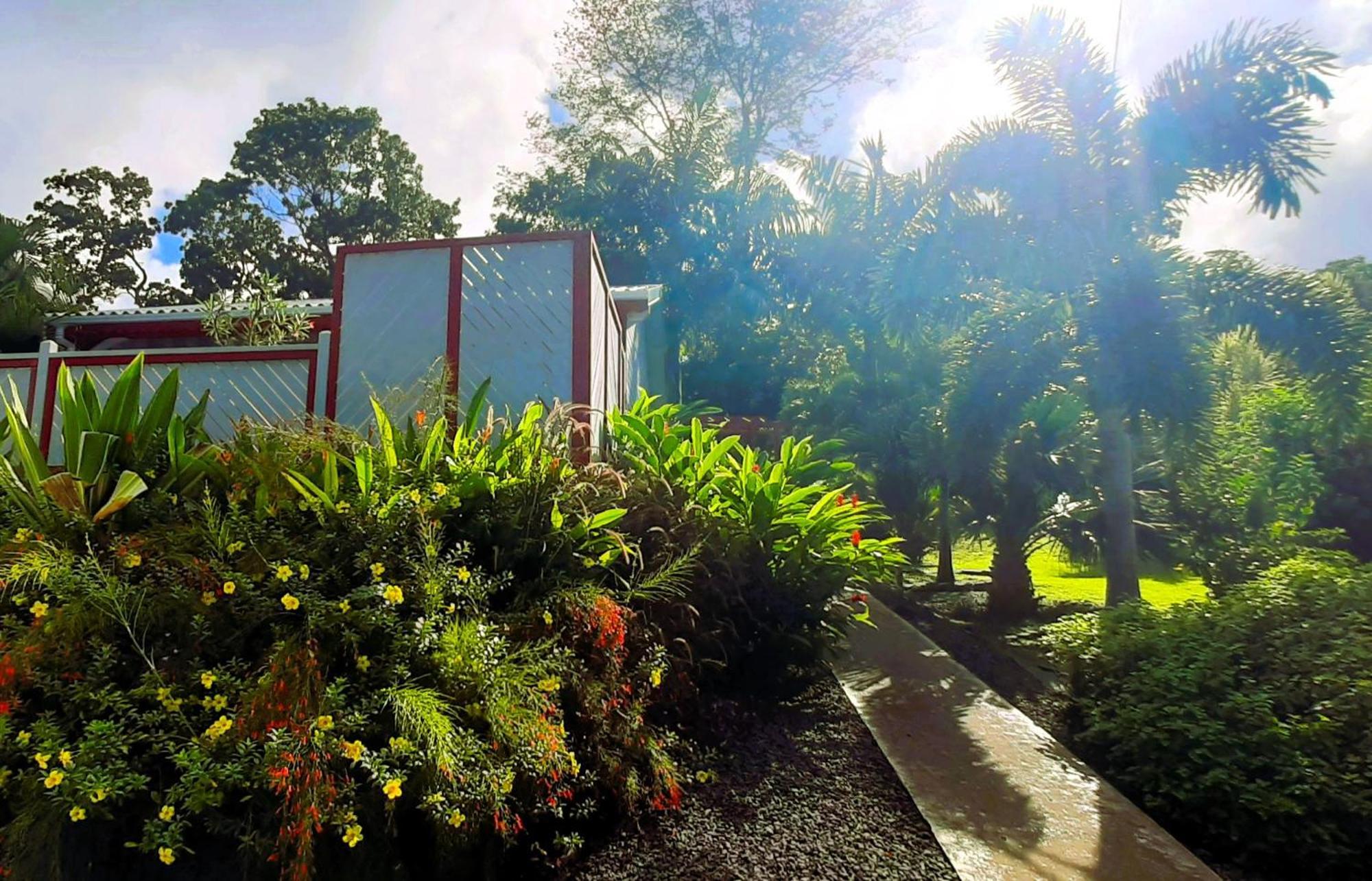 Caraibes Cottage Grenat Piscine Privee 900M De Grande Anse Deshaies Zewnętrze zdjęcie