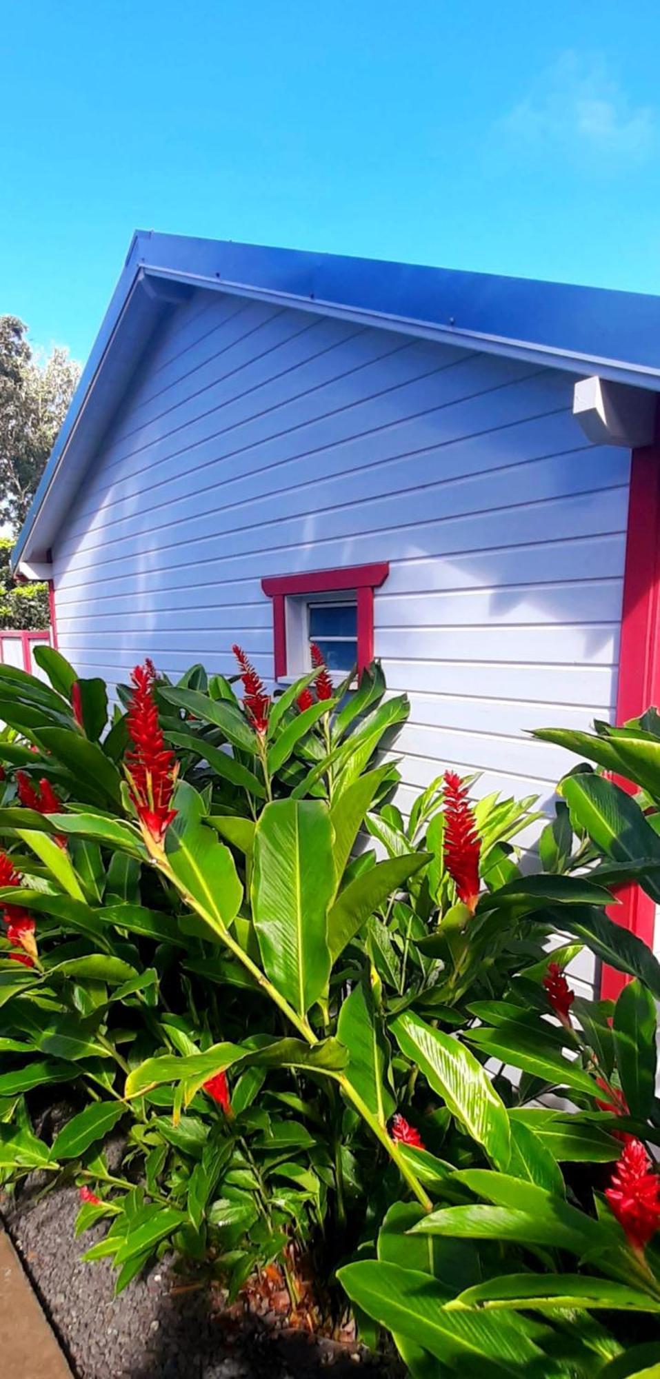 Caraibes Cottage Grenat Piscine Privee 900M De Grande Anse Deshaies Zewnętrze zdjęcie