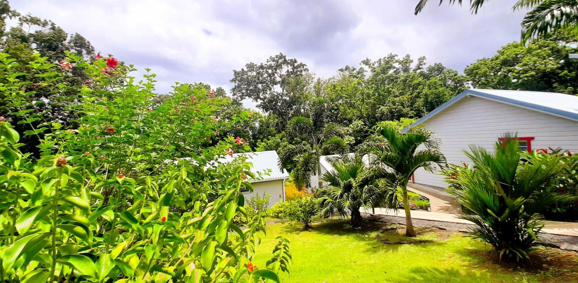 Caraibes Cottage Grenat Piscine Privee 900M De Grande Anse Deshaies Zewnętrze zdjęcie