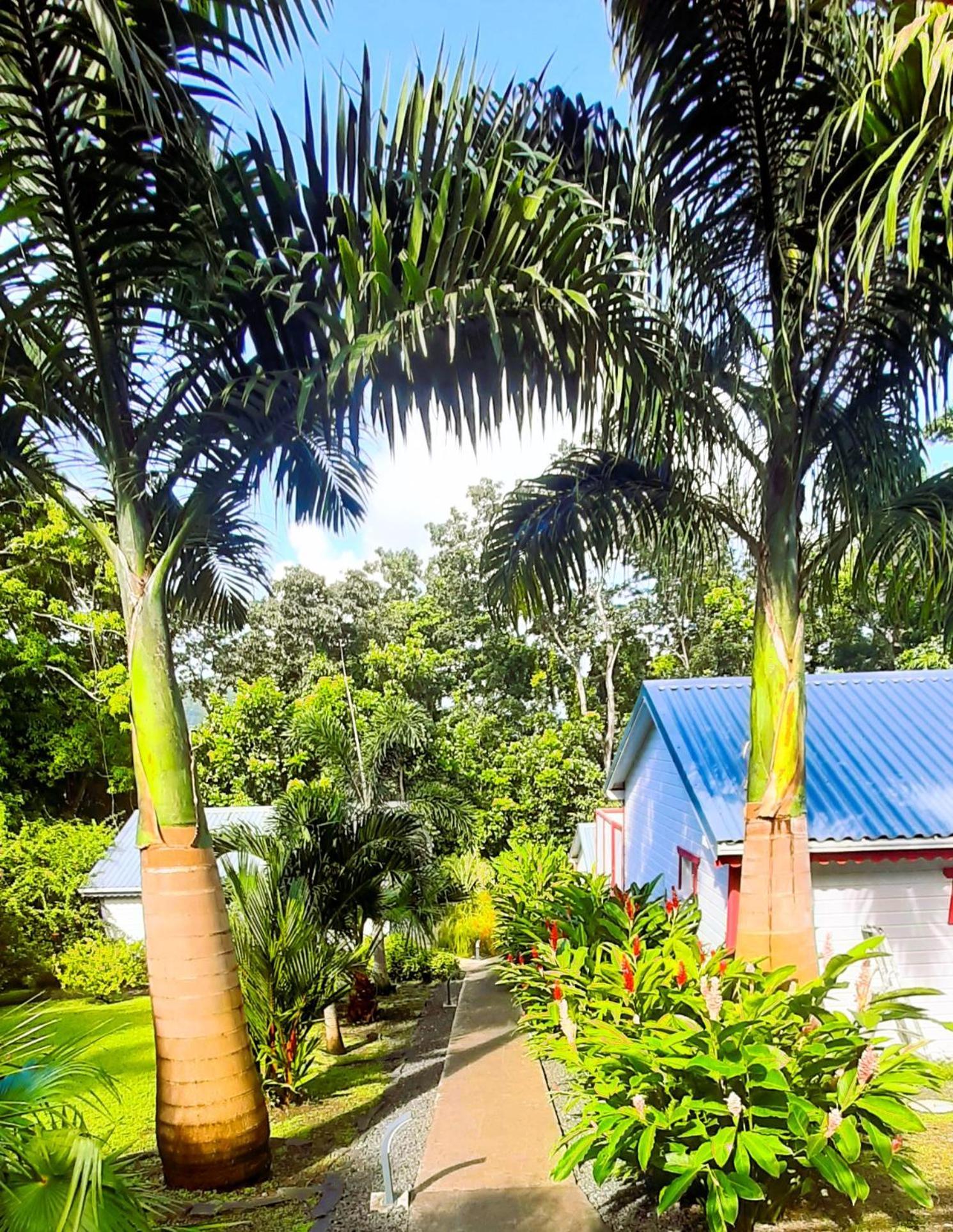Caraibes Cottage Grenat Piscine Privee 900M De Grande Anse Deshaies Zewnętrze zdjęcie