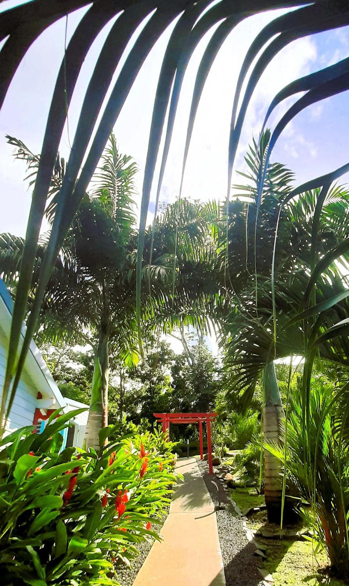 Caraibes Cottage Grenat Piscine Privee 900M De Grande Anse Deshaies Zewnętrze zdjęcie