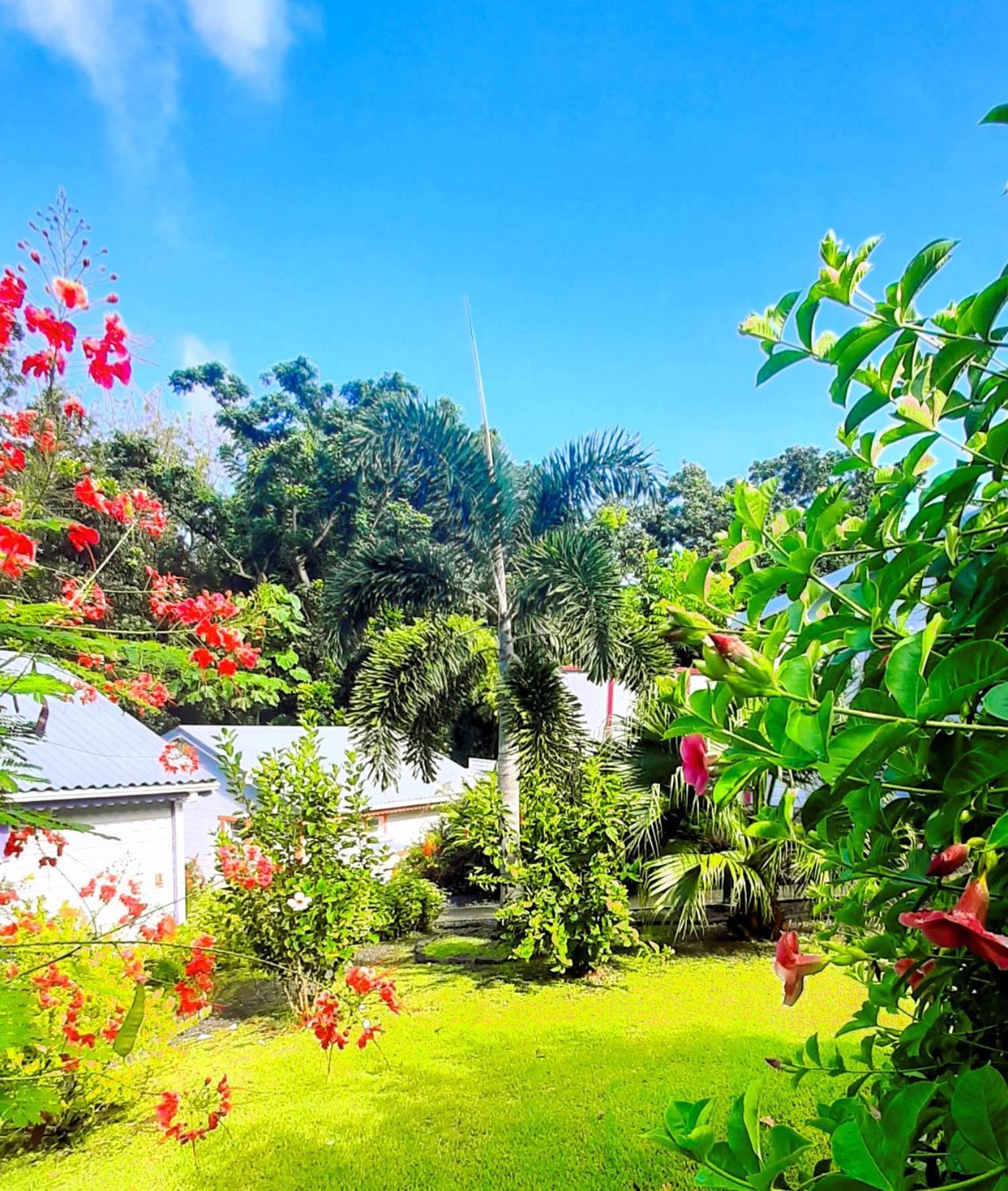 Caraibes Cottage Grenat Piscine Privee 900M De Grande Anse Deshaies Zewnętrze zdjęcie